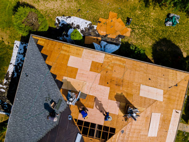 Roof Waterproofing Services in Bensenville, IL