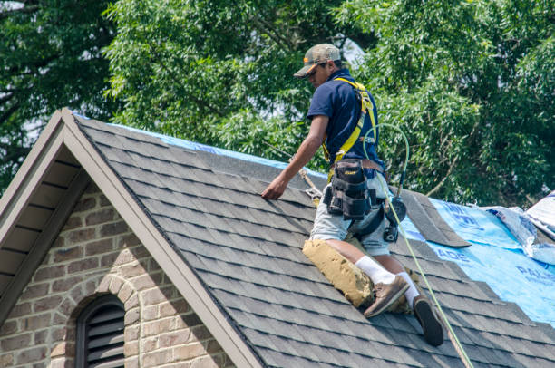 Best Residential Roofing Contractor  in Bensenvle, IL
